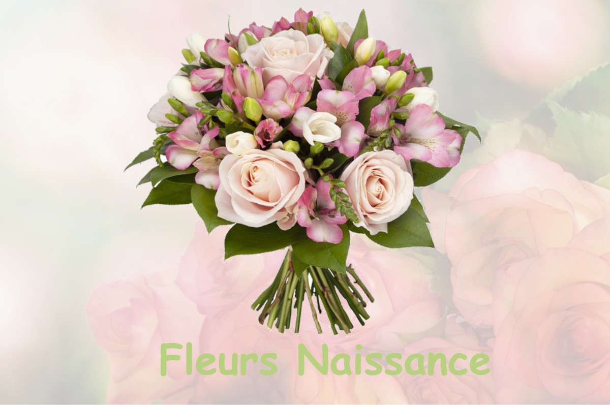 fleurs naissance LA-NEUVILLE-HOUSSET